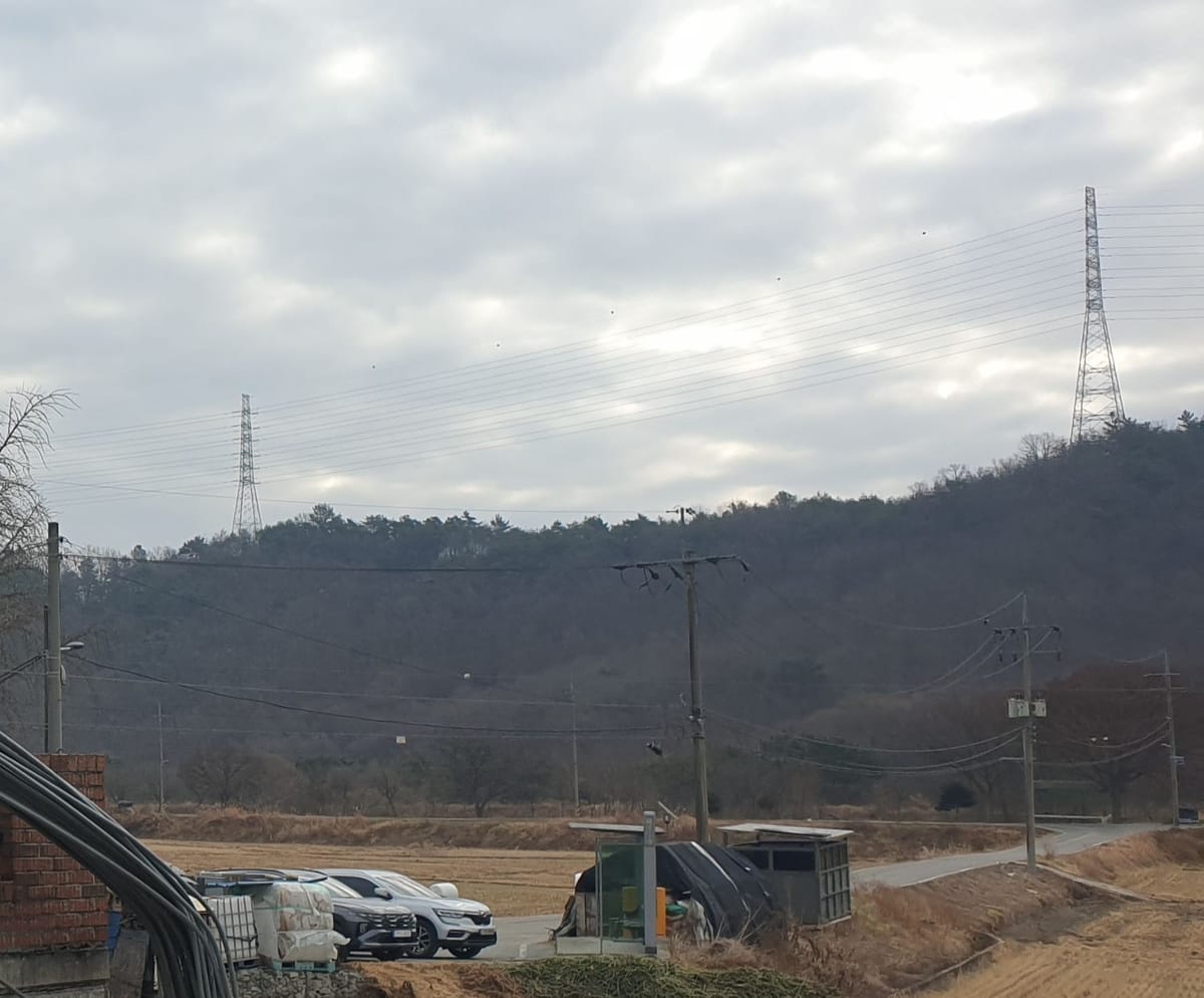원래 모든 AI 기술은 '피지컬' 하기에