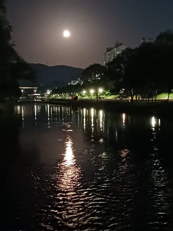 1주년 기념 두번째 답장