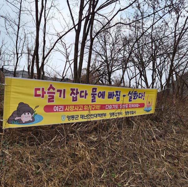 무책임한 낙관 대신