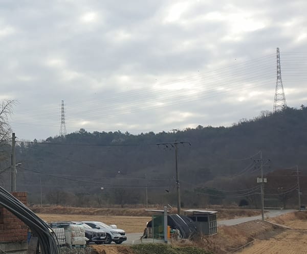 원래 모든 AI 기술은 '피지컬' 하기에