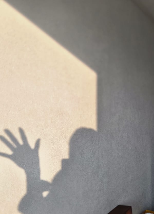 아이들을 걱정한다는 법안들